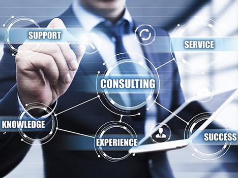 MDLI Consulting Services team delivering consulting, support and inspection services